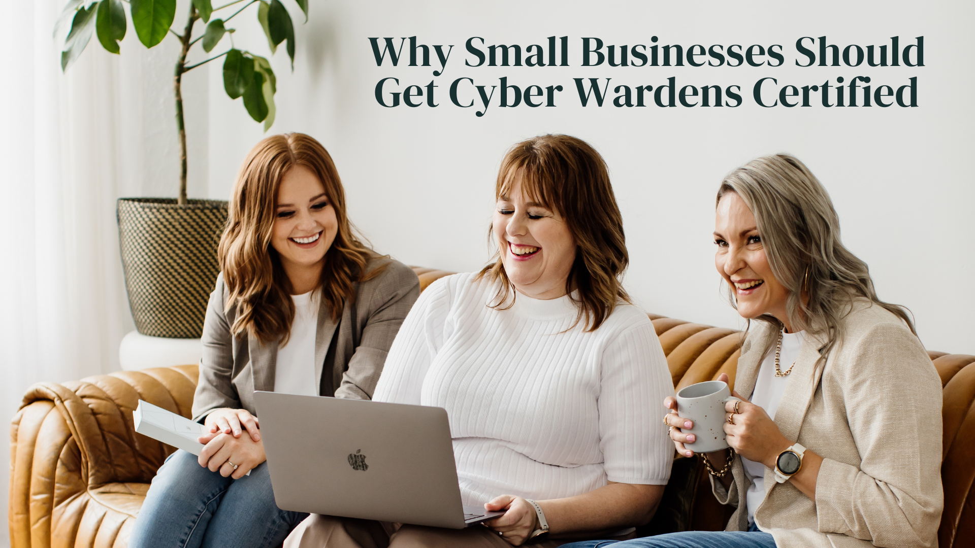 Cyber Wardens program